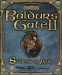 Baldur's Gate II: Shadows of Amn (2000)