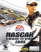 NASCAR 2005: Chase for the Cup (2004)
