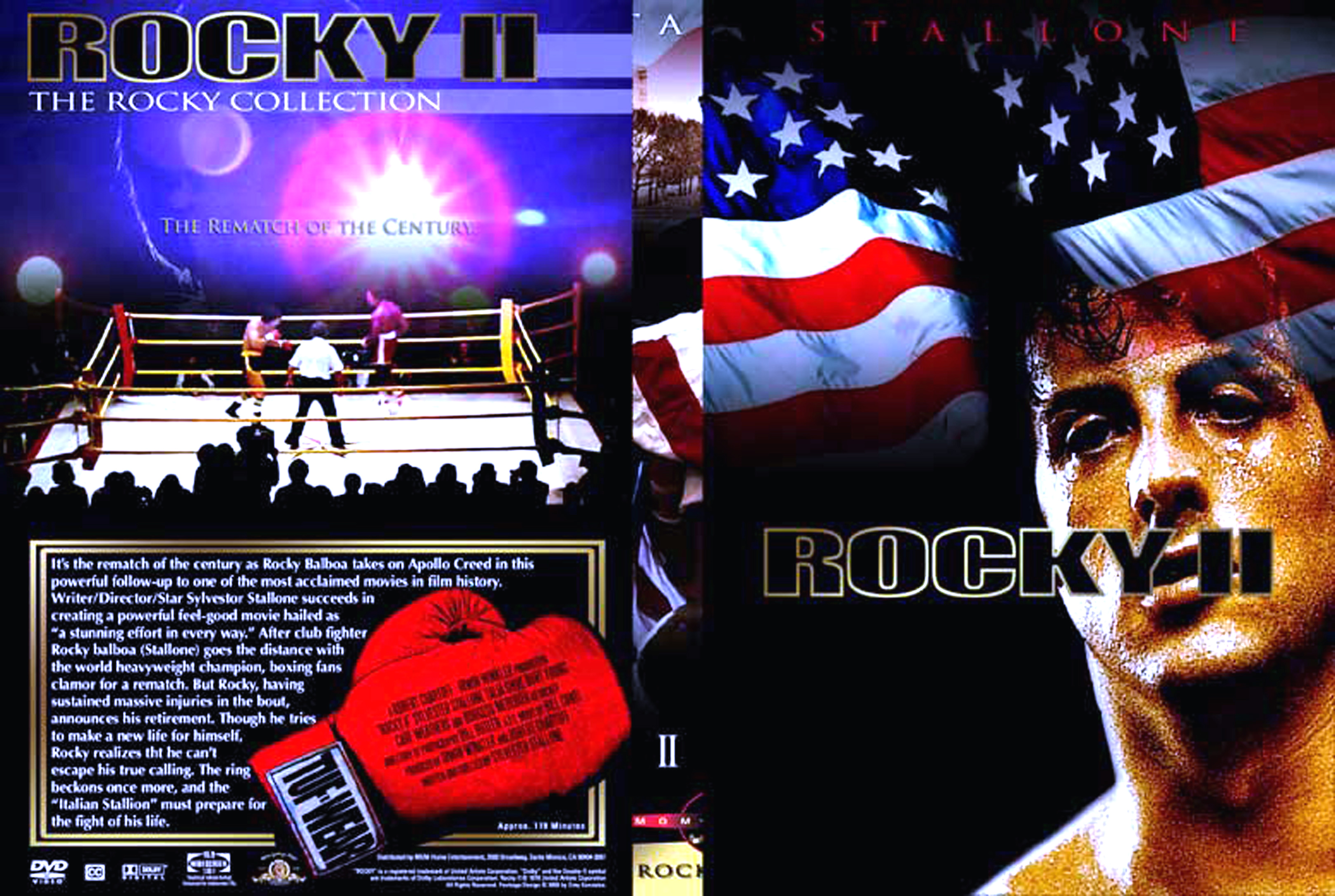 rocky2