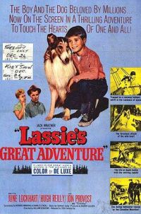 Lassie's Great Adventure (1963)