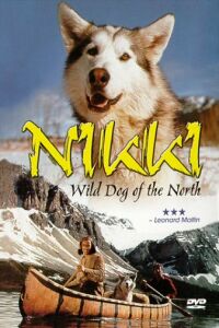 Nikki, Wild Dog of the North (1961)