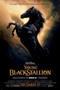 Young Black Stallion, The (2003)