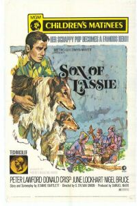 Son of Lassie (1945)