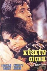K�sk�n Cicek (1979)