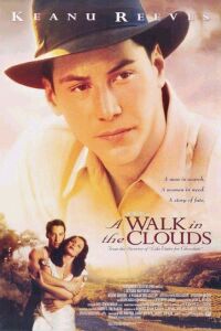 Walk in the Clouds, A (1995)