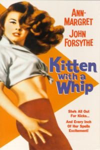 Kitten with a Whip (1964)