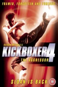 Kickboxer 4: The Aggressor (1994)