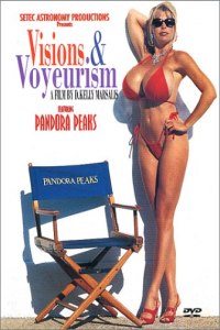Visions and Voyeurism (1998)