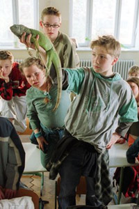 Wer K��t Schon einen Leguan? (2003)