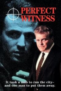 Perfect Witness (1989)