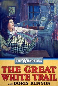 Great White Trail (1917)