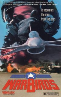 Warbirds (1988)