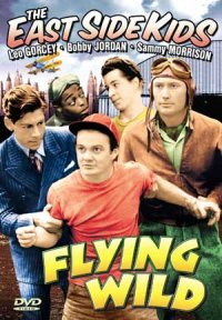 Flying Wild (1941)