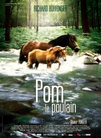 Pom, le Poulain (2006)