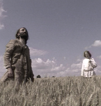 Mad�rszabad�t�, Felh�, Sz�l (2006)