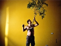 Sc�nes de Chasse au Sanglier (2007)