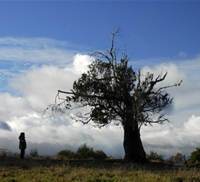 Cielo, la Tierra, y la lluvia, El (2008)