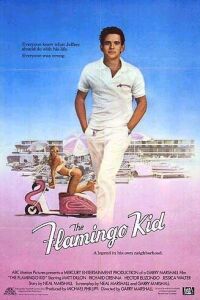 Flamingo Kid, The (1984)