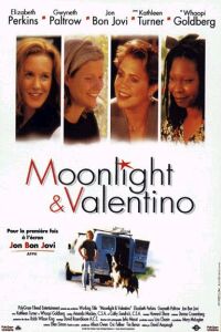 Moonlight and Valentino (1995)