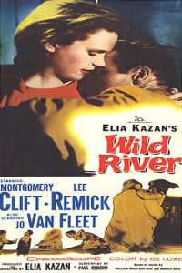 Wild River (1960)