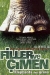 Filler ve �imen (2000)