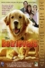 Retrievers, The (2001)