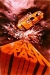 Car Crash (1980)