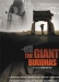 Giant Buddhas, The (2005)