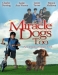 Miracle Dogs Too (2006)