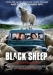 Black Sheep (2006)