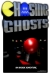 Chasing Ghosts: Beyond the Arcade (2007)