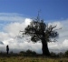 Cielo, la Tierra, y la lluvia, El (2008)