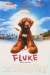 Fluke (1995)